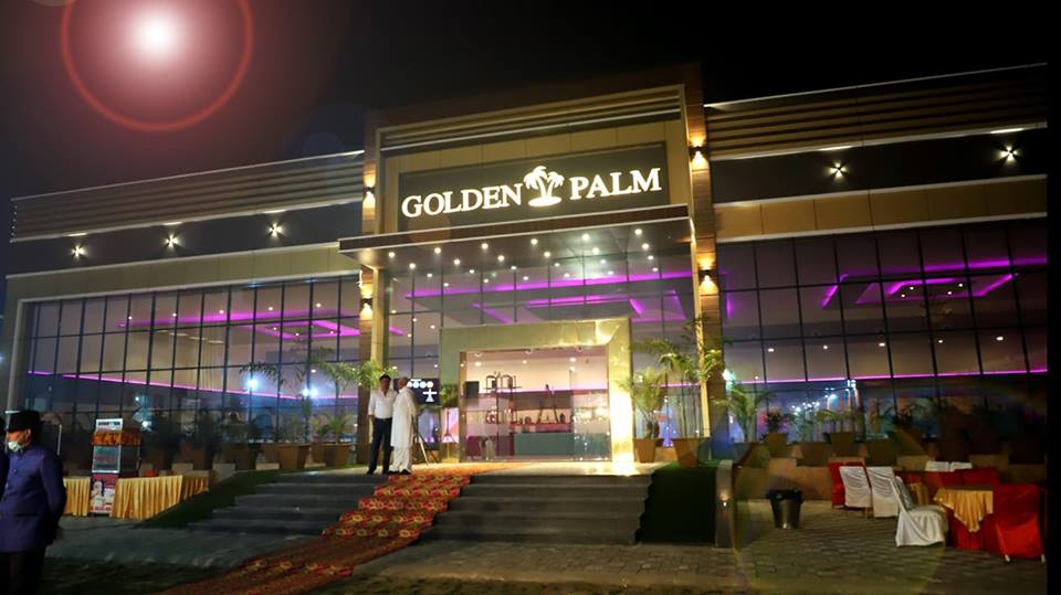Golden Palm